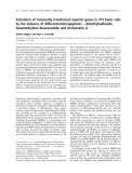 Báo cáo khoa học: Activation of transiently transfected reporter genes in 3T3 Swiss cells by the inducers of differentiation/apoptosis – dimethylsulfoxide, hexamethylene bisacetamide and trichostatin A