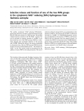 Báo cáo khóa học: Selective release and function of one of the two FMN groups in the cytoplasmic NAD + -reducing [NiFe]-hydrogenase from Ralstonia eutropha