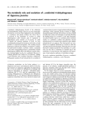 Báo cáo khoa học: The metabolic role and evolution of L-arabinitol 4-dehydrogenase of Hypocrea jecorina