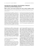 Báo cáo khóa học:  Overexpression and enzymatic characterization of Neisseria gonorrhoeae penicillin-binding protein 4