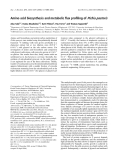 Báo cáo khoa học: Amino acid biosynthesis and metabolic ﬂux proﬁling of Pichia pastoris