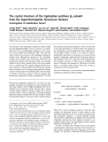 Báo cáo khoa học: The crystal structure of the tryptophan synthase b2 subunit from the hyperthermophile Pyrococcus furiosus Investigation of stabilization factors