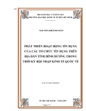 LUẬN VĂN ĐỀ TÀI PHÁT TRIỂN HOẠT ĐỘNG TÍN DỤNG CỦA CÁC TỔ CHỨC TÍN DỤNG TRÊN ĐỊA BÀN TỈNH BÌNH DƯƠNG TRONG THỜI KỲ HỘI NHẬP KINH TẾ QUỐC TẾ