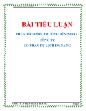 BÀI TIỂU LUẬN: PHÂN TÍCH MÔI TRƯỜNG BÊN NGOÀI CÔNG TY CỔ PHẦN DU LỊCH ĐÀ NẴNG