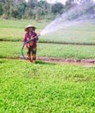 Thực vật cải tạo môi trường nước (Phytoremediation in water)