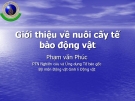 Giới thiệu về nuôi cấy tế bào động vật