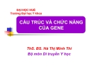 CẤU TRÚC VÀ CHỨC NĂNG GENE