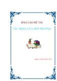 Báo cáo đề tài " Tác động môi trường "