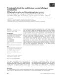 Báo cáo khoa học: Principles behind the multifarious control of signal transduction ERK phosphorylation and kinase/phosphatase control