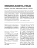 Báo cáo khoa học:  Expression, puriﬁcation and catalytic activity of Lupinus luteus asparagine b-amidohydrolase and its Escherichia coli homolog