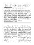 Báo cáo khoa học:  A novel c-N-methylaminobutyrate demethylating oxidase involved in catabolism of the tobacco alkaloid nicotine by Arthrobacter nicotinovorans pAO1