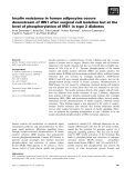 Báo cáo khoa học: Insulin resistance in human adipocytes occurs downstream of IRS1 after surgical cell isolation but at the 1 level of phosphorylation of IRS1 in type 2 diabetes