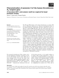 Báo cáo khoa học: Characterization of promoter 3 of the human thromboxane A2 receptor gene A functional AP-1 and octamer motif are required for basal promoter activity