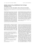 Báo cáo khoa học:  Solution structure of Cu6 metallothionein from the fungus Neurospora crassa