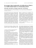 Báo cáo khoa học:  Ras oncogene induces b-galactoside a2,6-sialyltransferase (ST6Gal I) via a RalGEF-mediated signal to its housekeeping promoter