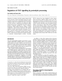 Báo cáo khoa học: Regulation of STAT signalling by proteolytic processing Lisa Hendry and Susan John