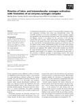 Báo cáo khoa học: Kinetics of intra- and intermolecular zymogen activation with formation of an enzyme–zymogen complex