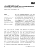 Báo cáo khoa học: The crystal structure of NlpI A prokaryotic tetratricopeptide repeat protein with a globular fold