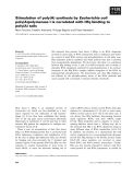 Báo cáo khoa học: Stimulation of poly(A) synthesis by Escherichia coli poly(A)polymerase I is correlated with Hfq binding to poly(A) tails