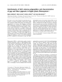 Báo cáo khoa học: Stoichiometry of LHCI antenna polypeptides and characterization of gap and linker pigments in higher plants Photosystem I