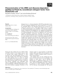 Báo cáo khoa học: Characterization of the tRNA and ribosome-dependent pppGpp-synthesis by recombinant stringent factor from Escherichia coli