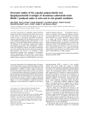 Báo cáo khoa học:  Structural studies of the capsular polysaccharide and lipopolysaccharide O-antigen of Aeromonas salmonicida strain 80204-1 produced under in vitro and in vivo growth conditions
