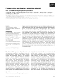 Báo cáo khoa học: Conservative sorting in a primitive plastid The cyanelle of Cyanophora paradoxa