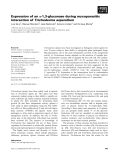 Báo cáo khoa học: Expression of an a-1,3-glucanase during mycoparasitic interaction of Trichoderma asperellum