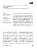 Báo cáo khoa học: New human and mouse microRNA genes found by homology search