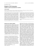 Báo cáo khoa học: Weapons of STAT destruction Interferon evasion by paramyxovirus V proteins