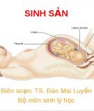 Bài giảng Sinh sản - TS. Đào Mai Luyến