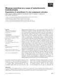 Báo cáo khoa học: Missense mutations as a cause of metachromatic leukodystrophy Degradation of arylsulfatase A in the endoplasmic reticulum