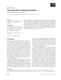 Báo cáo khoa học:  The social life of ribosomal proteins