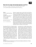 Báo cáo khoa học: Dual role of oxygen during lipoxygenase reactions