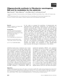 Báo cáo khoa học: Oligosaccharide synthesis in Fibrobacter succinogenes S85 and its modulation by the substrate