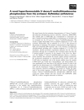 Báo cáo khoa học: A novel hyperthermostable 5¢-deoxy-5¢-methylthioadenosine phosphorylase from the archaeon Sulfolobus solfataricus