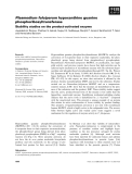 Báo cáo khoa học: Plasmodium falciparum hypoxanthine guanine phosphoribosyltransferase Stability studies on the product-activated enzyme