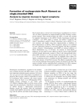 Báo cáo khoa học: Formation of nucleoprotein RecA ﬁlament on single-stranded DNA Analysis by stepwise increase in ligand complexity