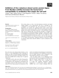 Báo cáo khoa học: Inhibition of the D-alanine:D-alanyl carrier protein ligase from Bacillus subtilis increases the bacterium’s susceptibility to antibiotics that target the cell wall