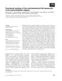 Báo cáo khoa học: Functional analysis of the methylmalonyl-CoA epimerase from Caenorhabditis elegans