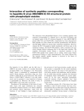 Báo cáo khoa học: Interaction of synthetic peptides corresponding to hepatitis G virus (HGV/GBV-C) E2 structural protein with phospholipid vesicles