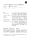 Báo cáo khoa học: Cytosolic phospholipase A2-a and cyclooxygenase-2 localize to intracellular membranes of EA.hy.926 endothelial cells that are distinct from the endoplasmic reticulum and the Golgi apparatus