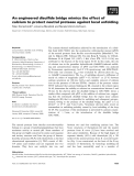 Báo cáo khoa học: An engineered disulﬁde bridge mimics the effect of calcium to protect neutral protease against local unfolding