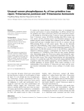 Báo cáo khoa học: Unusual venom phospholipases A2 of two primitive tree vipers Trimeresurus puniceus and Trimeresurus borneensis