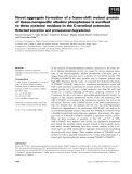 Báo cáo khoa học: Novel aggregate formation of a frame-shift mutant protein of tissue-nonspeciﬁc alkaline phosphatase is ascribed to three cysteine residues in the C-terminal extension