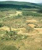 THE NUCLEAR AND AERIAL DYNAMICS OF THE TUNGUSKA EVENT