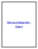 Khi con 6 tháng tuổi – Tuần 5