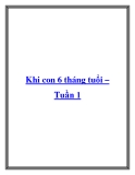 Khi con 6 tháng tuổi – Tuần 1