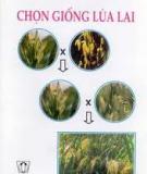 Phương pháp chọn giống lúa lai "ba dòng"