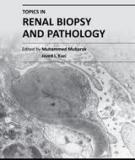 Topicc in renal biopsy and pathology dited by Muhammed Mubarak and Javed I. Kazi.